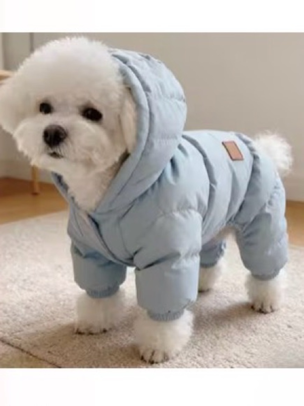 Light Blue Quilted Puffer Dog Jacket with Hood - Cozy Winter Pet Coat